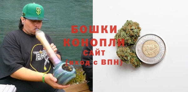трава Бородино