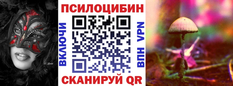 наркотики  Кандалакша  Псилоцибиновые грибы ЛСД 