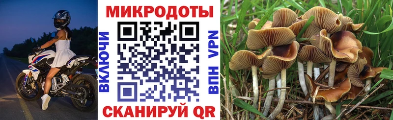 Псилоцибиновые грибы GOLDEN TEACHER Кандалакша